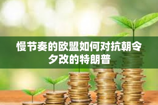 慢節(jié)奏的歐盟如何對抗朝令夕改的特朗普