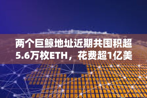 兩個巨鯨地址近期共囤積超5.6萬枚ETH，花費超1億美元