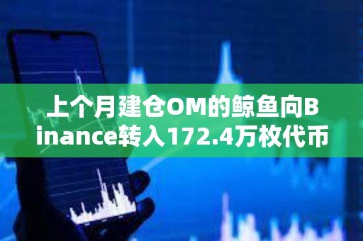 上個月建倉OM的鯨魚向Binance轉入172.4萬枚代幣，或將損失1011萬美元