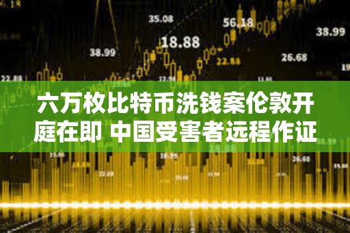 六萬枚比特幣洗錢案倫敦開庭在即 中國受害者遠程作證