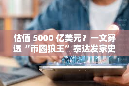 估值 5000 億美元？一文穿透“幣圈狼王”泰達發家史