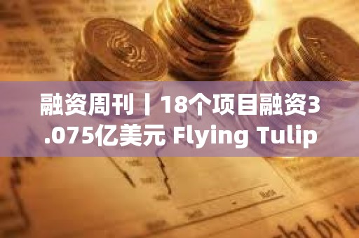 融資周刊丨18個項目融資3.075億美元 Flying Tulip籌集2億美元