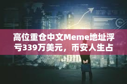 高位重倉中文Meme地址浮虧339萬美元，幣安人生占比近八成