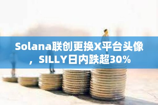 Solana聯創更換X平臺頭像，SILLY日內跌超30%