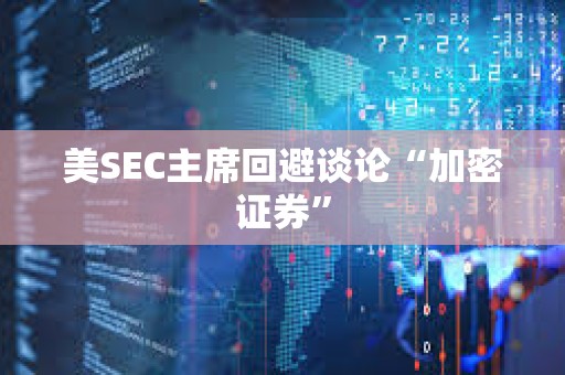 美SEC主席回避談論“加密證券”