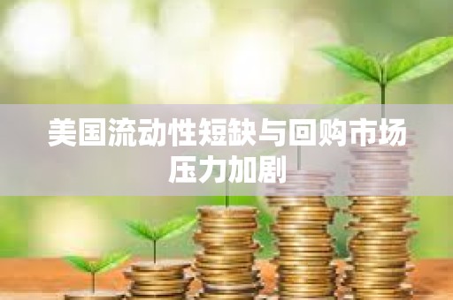 美國流動性短缺與回購市場壓力加劇