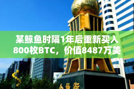某鯨魚時隔1年后重新買入800枚BTC，價值8487萬美元