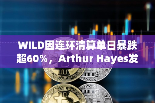WILD因連環清算單日暴跌超60%，Arthur Hayes發文表示已抄底