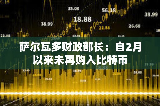 薩爾瓦多財政部長：自2月以來未再購入比特幣