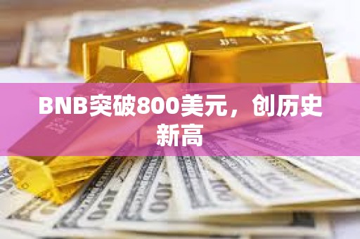 BNB突破800美元，創歷史新高