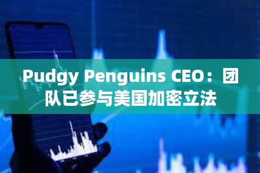 Pudgy Penguins CEO：團隊已參與美國加密立法