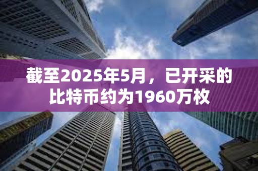 截至2025年5月，已開采的比特幣約為1960萬枚
