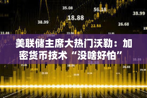 美聯儲主席大熱門沃勒：加密貨幣技術“沒啥好怕” 美聯儲應與業界共推支付創新