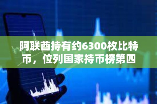 阿聯酋持有約6300枚比特幣，位列國家持幣榜第四