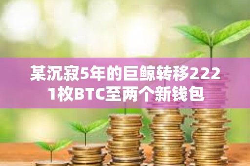某沉寂5年的巨鯨轉(zhuǎn)移2221枚BTC至兩個新錢包