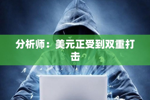 分析師：美元正受到雙重打擊