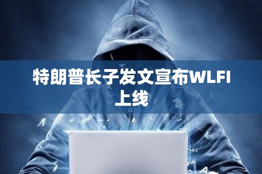 特朗普長子發(fā)文宣布WLFI上線