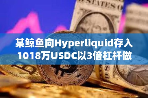 某鯨魚向Hyperliquid存入1018萬USDC以3倍杠桿做空WLFI