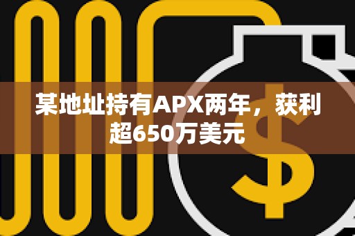 某地址持有APX兩年，獲利超650萬美元