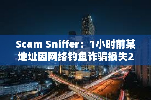 Scam Sniffer：1小時前某地址因網絡釣魚詐騙損失25萬美元資產