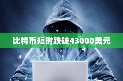 比特幣短時跌破43000美元