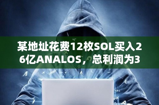 某地址花費(fèi)12枚SOL買入26億ANALOS，總利潤(rùn)為347萬美元
