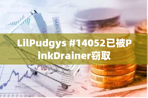 LilPudgys #14052已被PinkDrainer竊取