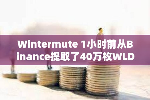 Wintermute 1小時前從Binance提取了40萬枚WLD