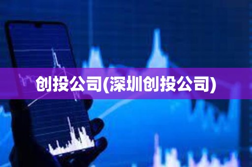 創投公司(深圳創投公司) 創投公司(深圳創投公司)