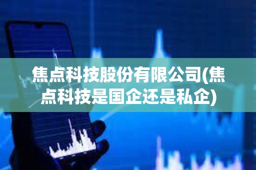 焦點(diǎn)科技股份有限公司(焦點(diǎn)科技是國(guó)企還是私企)