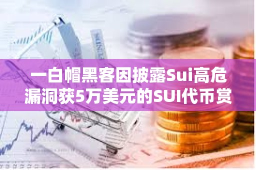 一白帽黑客因披露Sui高危漏洞獲5萬美元的SUI代幣賞金