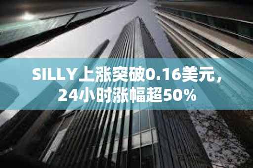 SILLY上漲突破0.16美元，24小時(shí)漲幅超50%