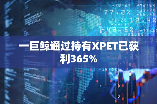 一巨鯨通過持有XPET已獲利365%