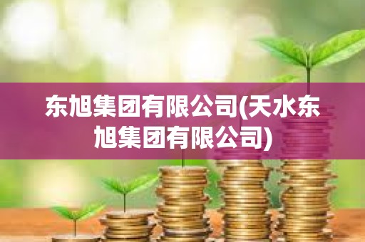 東旭集團(tuán)有限公司(天水東旭集團(tuán)有限公司) 東旭集團(tuán)有限公司(天水東旭集團(tuán)有限公司)