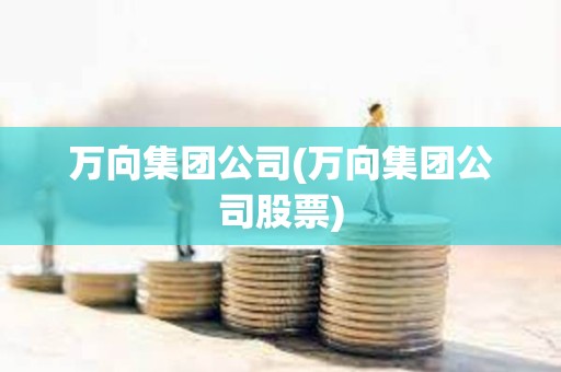 萬(wàn)向集團(tuán)公司(萬(wàn)向集團(tuán)公司股票)