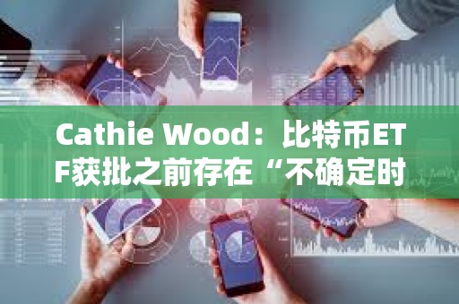 Cathie Wood：比特幣ETF獲批之前存在“不確定時刻”