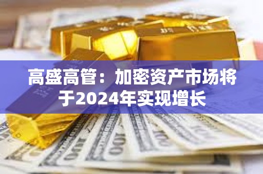 高盛高管:加密資產市場將于2024年實現增長 高盛高管:加密資產市場將于2024年實現增長