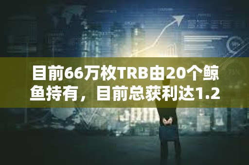 目前66萬枚TRB由20個鯨魚持有，目前總獲利達1.2億美元