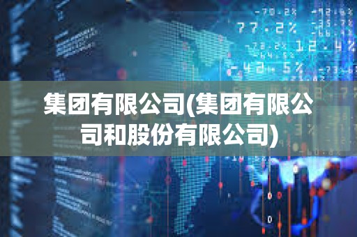 集團有限公司(集團有限公司和股份有限公司)