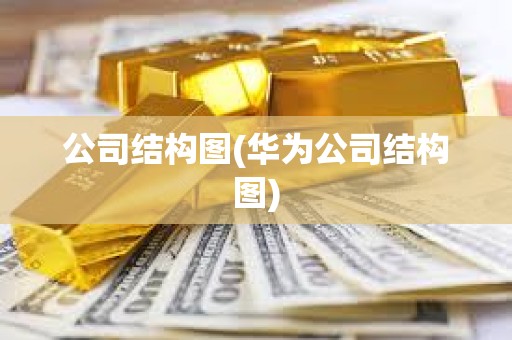 公司結構圖(華為公司結構圖)