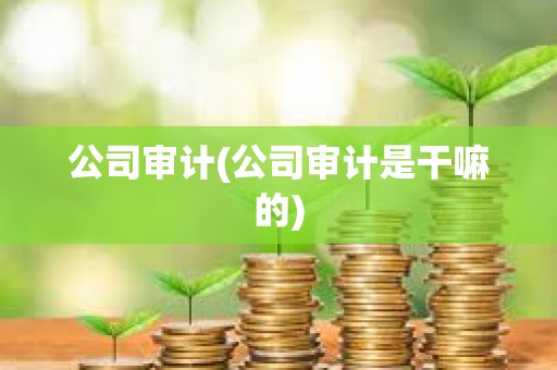 公司審計(公司審計是干嘛的)