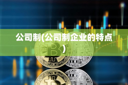 公司制(公司制企業(yè)的特點)