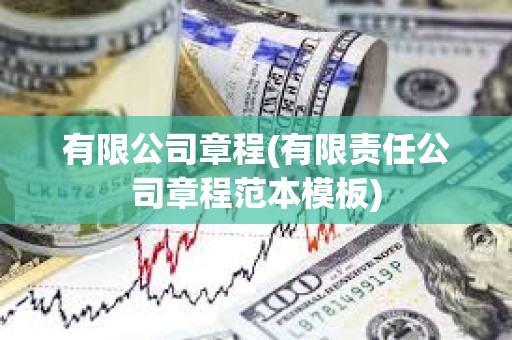 有限公司章程(有限責任公司章程范本模板)