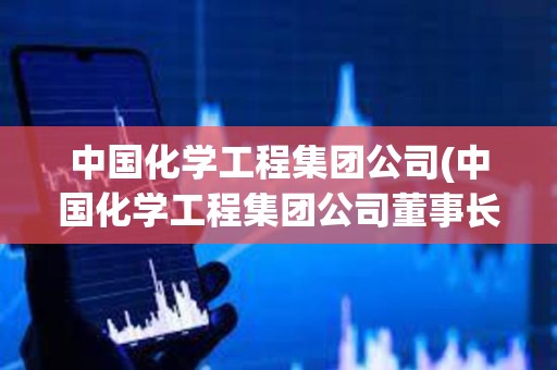中國化學工程集團公司(中國化學工程集團公司董事長)