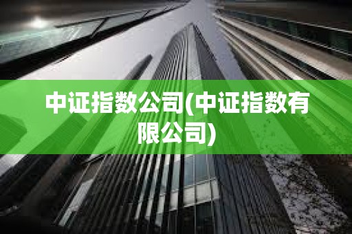 中證指數(shù)公司(中證指數(shù)有限公司)