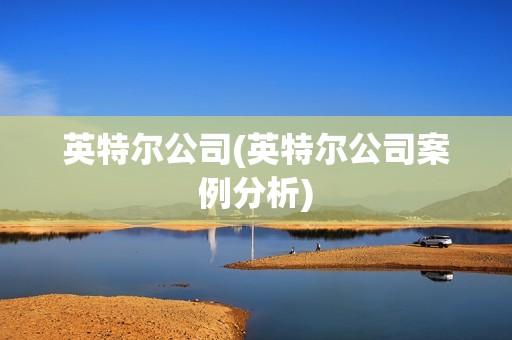 英特爾公司(英特爾公司案例分析) 英特爾公司(英特爾公司案例分析)