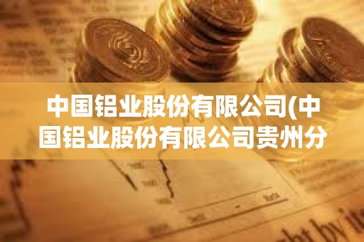 中國鋁業股份有限公司(中國鋁業股份有限公司貴州分公司)