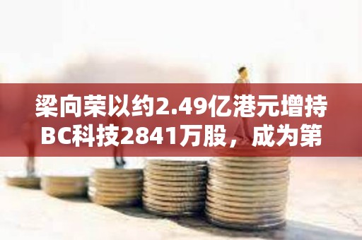 梁向榮以約2.49億港元增持BC科技2841萬股,成為第三大股東 梁向榮以約2.49億港元增持BC科技2841萬股,成為第三大股東