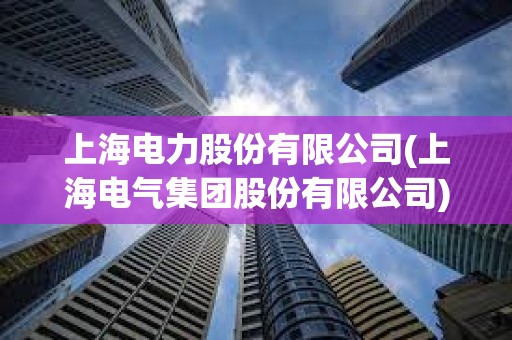上海電力股份有限公司(上海電氣集團股份有限公司) 上海電力股份有限公司(上海電氣集團股份有限公司)