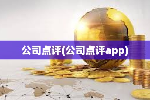 公司點評(公司點評app)